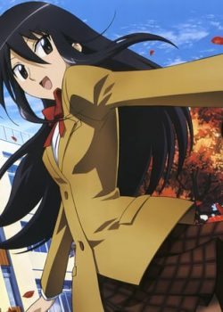 Hoạch Định Ousai phần 1 - Seitokai Yakuindomo season 1