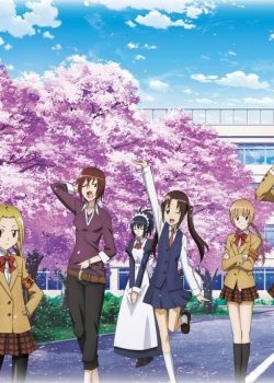 Hoạch Định Ousai phần 2 – Seitokai Yakuindomo season 2