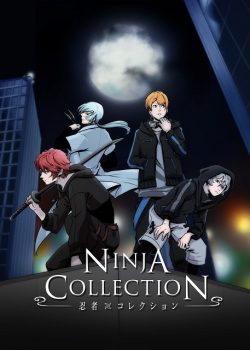 Ninja Collection