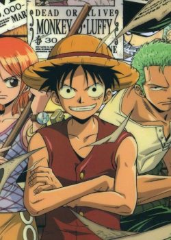 Đảo Hải Tặc - One Piece TV Special 5: Nước mắt hoa tiêu và liên kết giữa những người bạn
