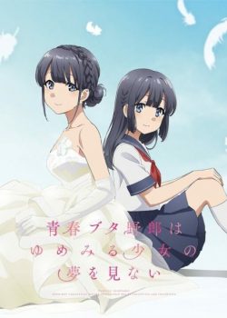 [Movie] Seishun Buta Yarou wa Yumemiru Shoujo no Yume wo Minai