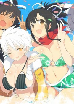 Senran Kagura ss2: Shinovi Master - Tokyo Youma-hen